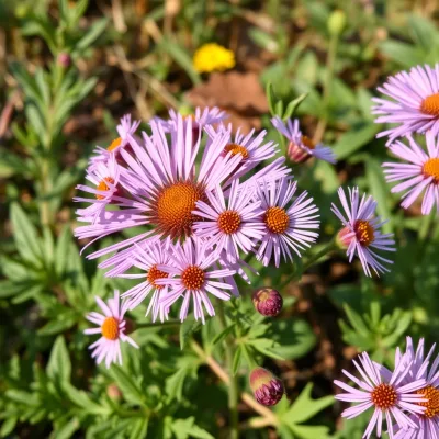 September: Back to It With a Fresh Perspective